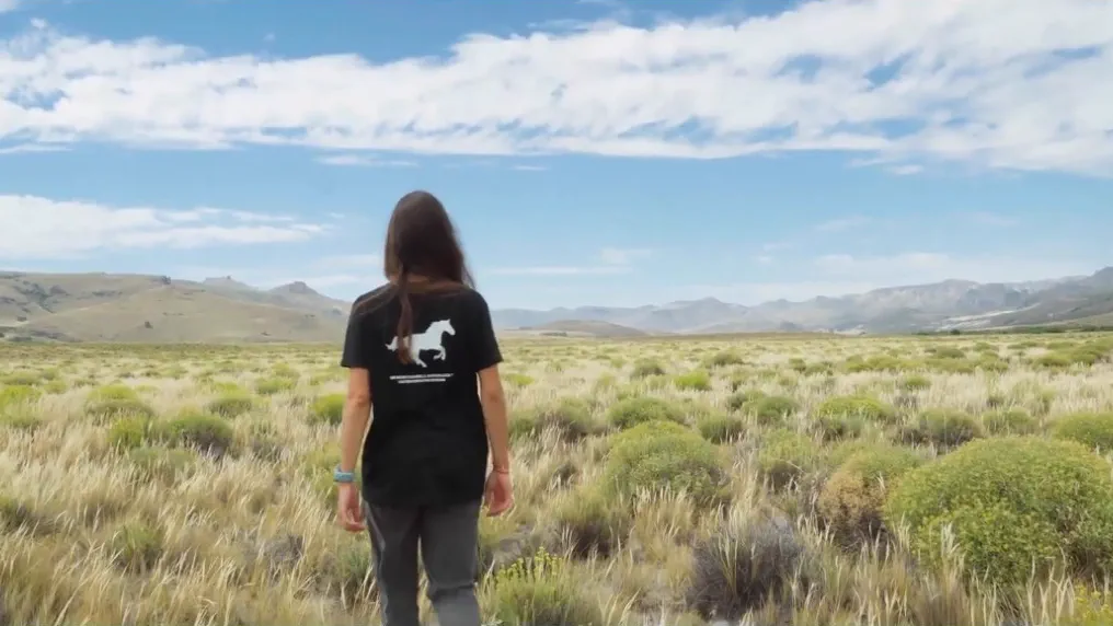 The Nature Conservancy